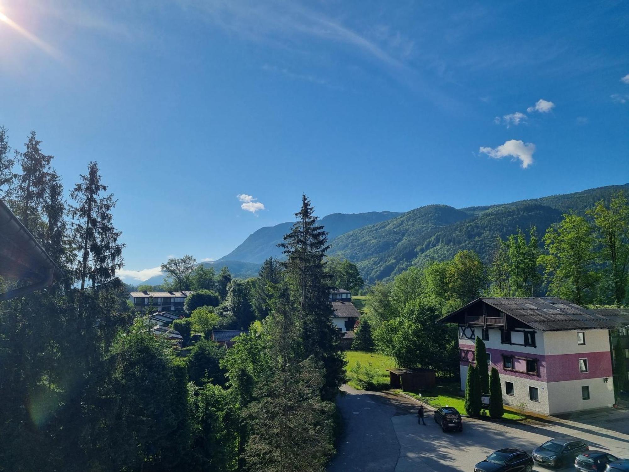 Cow Royal * Strobl
